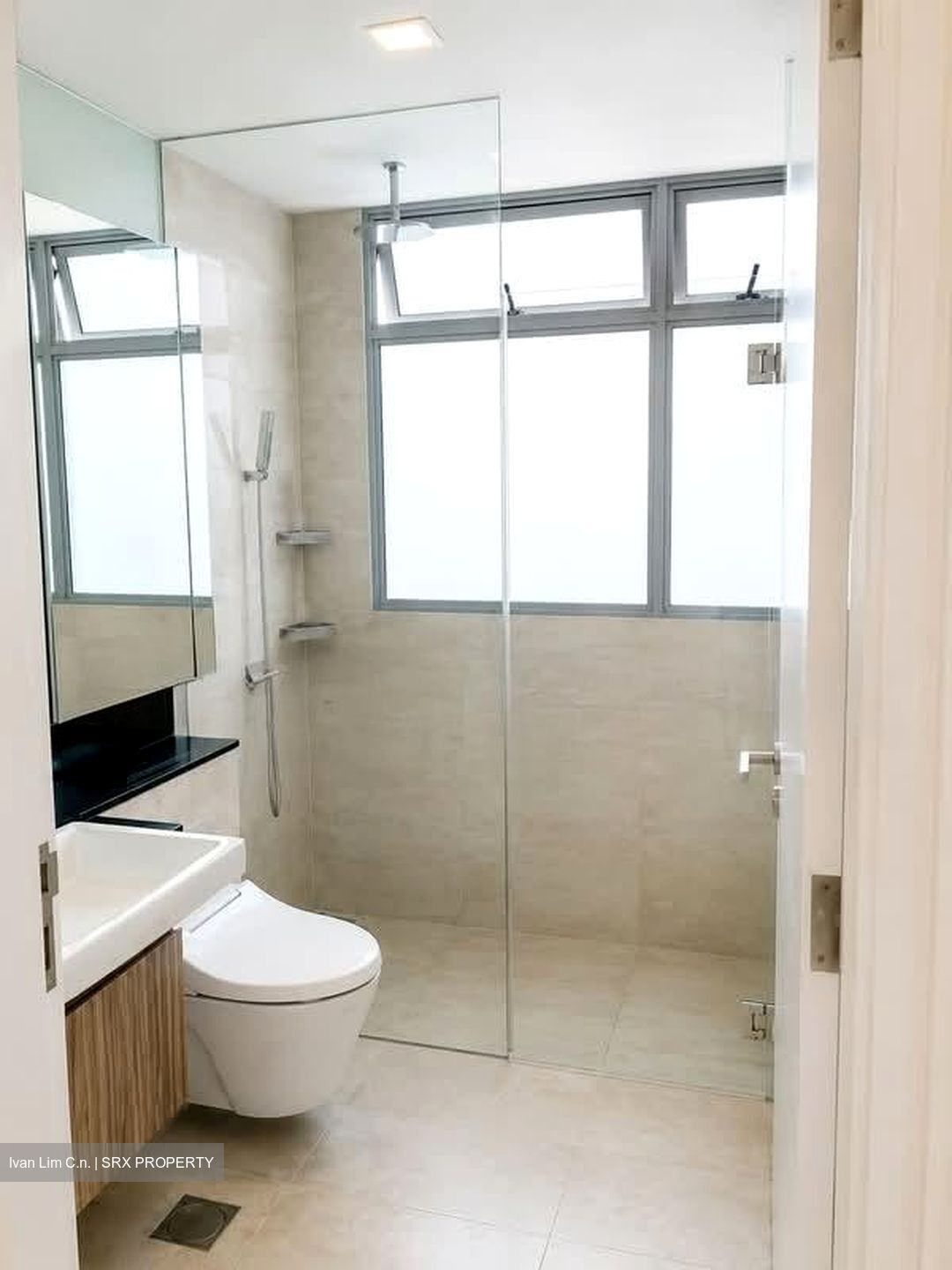 Suites @ Newton (D11), Apartment #603103871